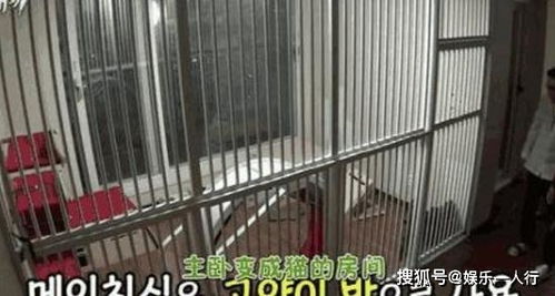 參觀dok2在韓國(guó)的豪宅,家里用的是自動(dòng)門,衣帽間塞得滿滿是衣服